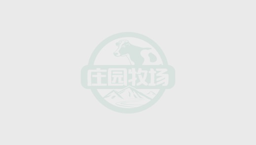关于尊龙凯时